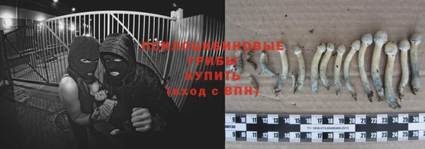 2c-b Белокуриха