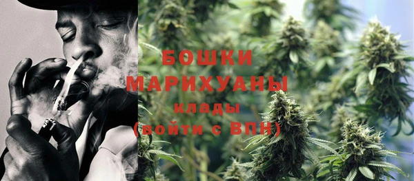 2c-b Белокуриха